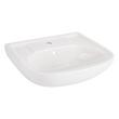 Rainsville Porcelain Wall-Mount Sink - Single Hole, , large image number 1