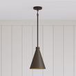 12" Pentley  Outdoor Hanging Pendant - Chocolate Bronze - Single Light, , large image number 0