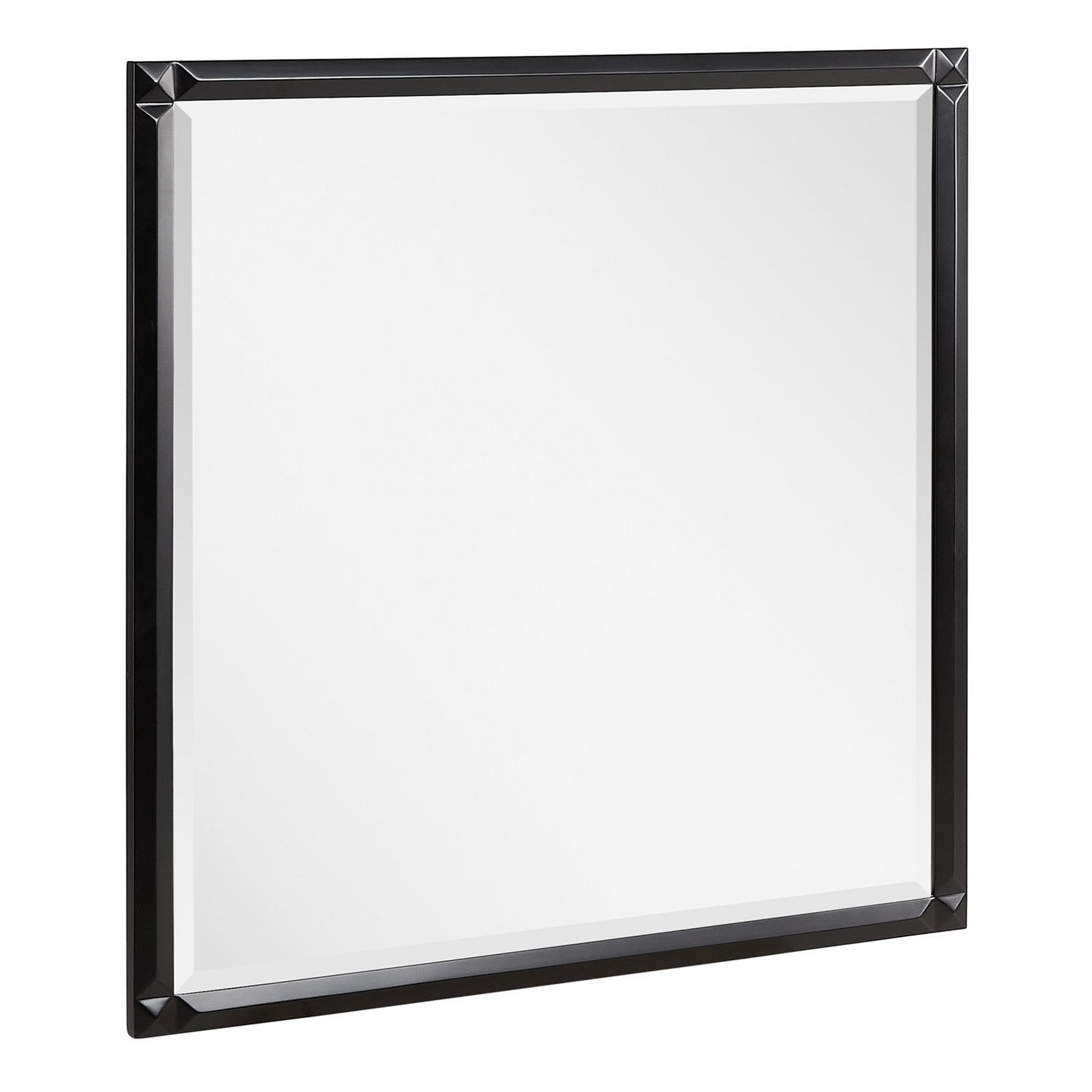 Holmesdale Vanity Mirror Black Signature Hardware