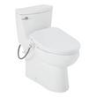 Brinstead One-Piece Elongated Skirted Toilet with Bidet - Brushed Nickel Handle, , large image number 1