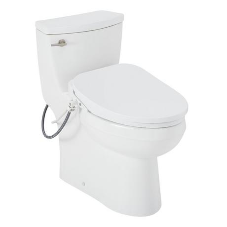 Brinstead One-Piece Elongated Skirted Toilet with Bidet - Brushed Nickel Handle