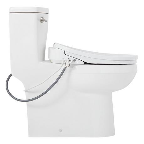 Brinstead One-Piece Elongated Skirted Toilet with Bidet - Brushed Nickel Handle