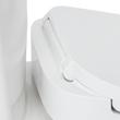 Brinstead One-Piece Elongated Skirted Toilet with Bidet - Brushed Nickel Handle, , large image number 6