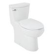 Brinstead One-Piece Elongated Skirted Toilet - Brushed Nickel Handle, , large image number 1