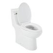 Brinstead One-Piece Elongated Skirted Toilet, , large image number 2