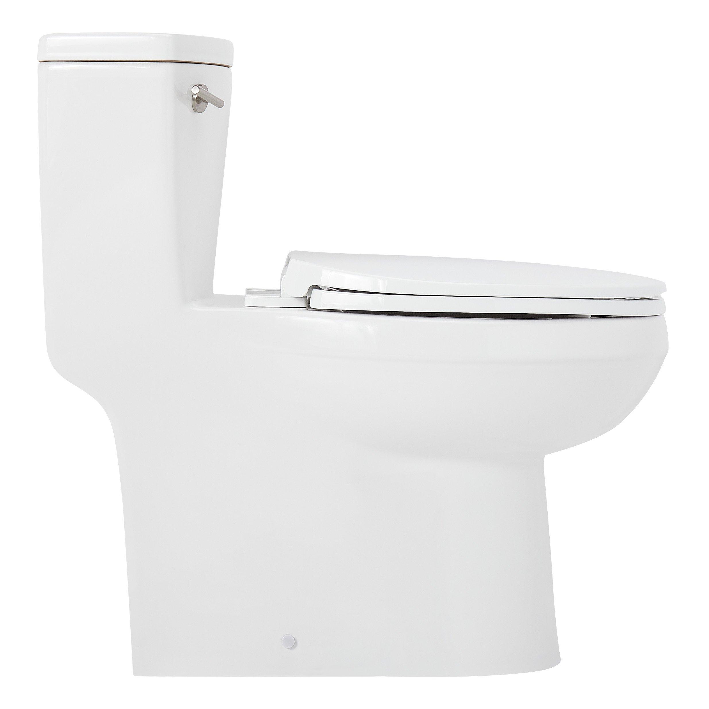 Brinstead One-Piece Elongated Skirted Toilet | Signature