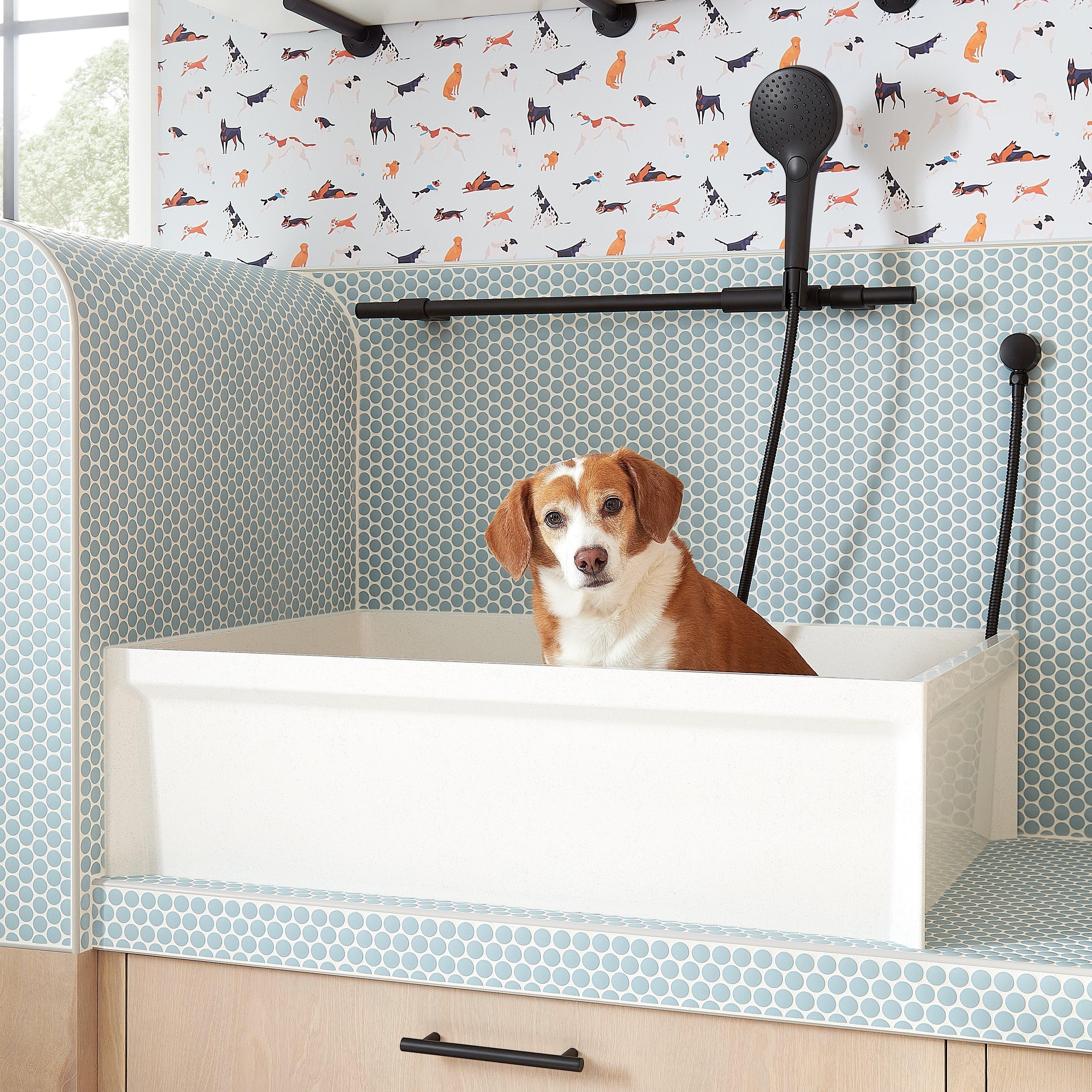 Everything You Need to Know About a Home Dog Bath Tub