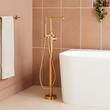 Drea Freestanding Tub Faucet with Hand Shower and Rough-In Valve - Brushed Gold, , large image number 0