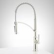 Beasley Kitchen Faucet with Pull-Down Spring Spout - Polished Nickel, , large image number 1