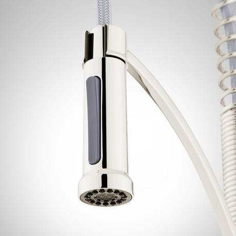 Beasley Kitchen Faucet with Pull-Down Spring Spout