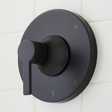 Lentz Pressure Balance Shower System with Hand Shower - Lever Handle