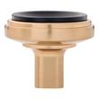 Anberlin Round Two Tone Cabinet Knob Matte Black - Champagne Bronze, , large image number 2