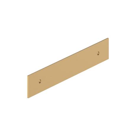 Traditional Cabinet Pull Backplate