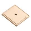 Contemporary Square Cabinet Knob Backplate - Champagne Bronze, , large image number 0