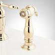 Delacour Bridge Kitchen Faucet with Side Spray - Polished Brass, , large image number 2