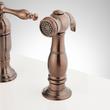 Delacour Bridge Kitchen Faucet with Side Spray - Oil Rubbed Bronze, , large image number 2