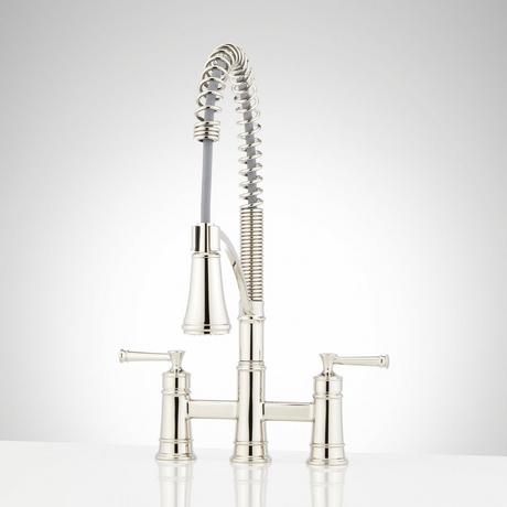 Beasley Bridge Kitchen Faucet with Pull-Down Spring Spout