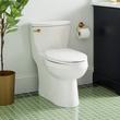 Brinstead One-Piece Elongated Skirted Toilet - Brushed Gold Handle, , large image number 0