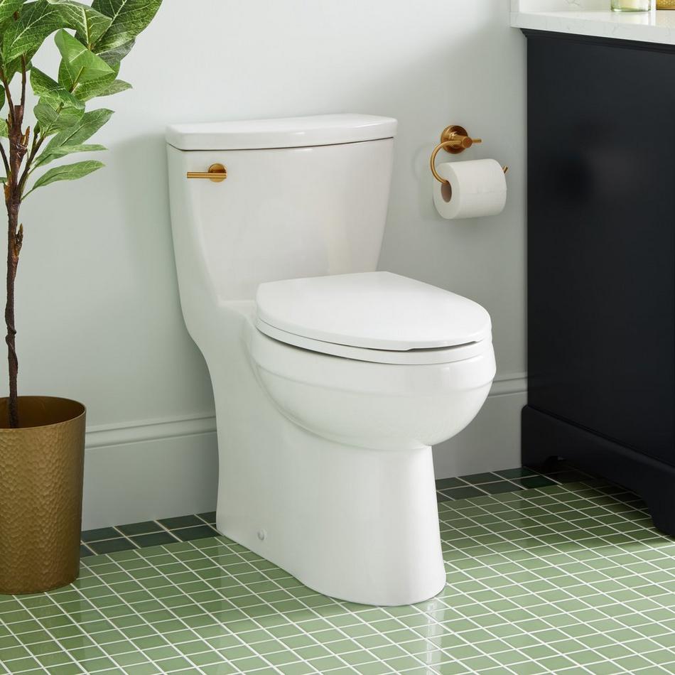Brinstead One-Piece Elongated Skirted Toilet - Brushed Gold Handle, , large image number 0
