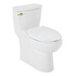 Brinstead One-Piece Elongated Skirted Toilet - Brushed Gold Handle, , large image number 1
