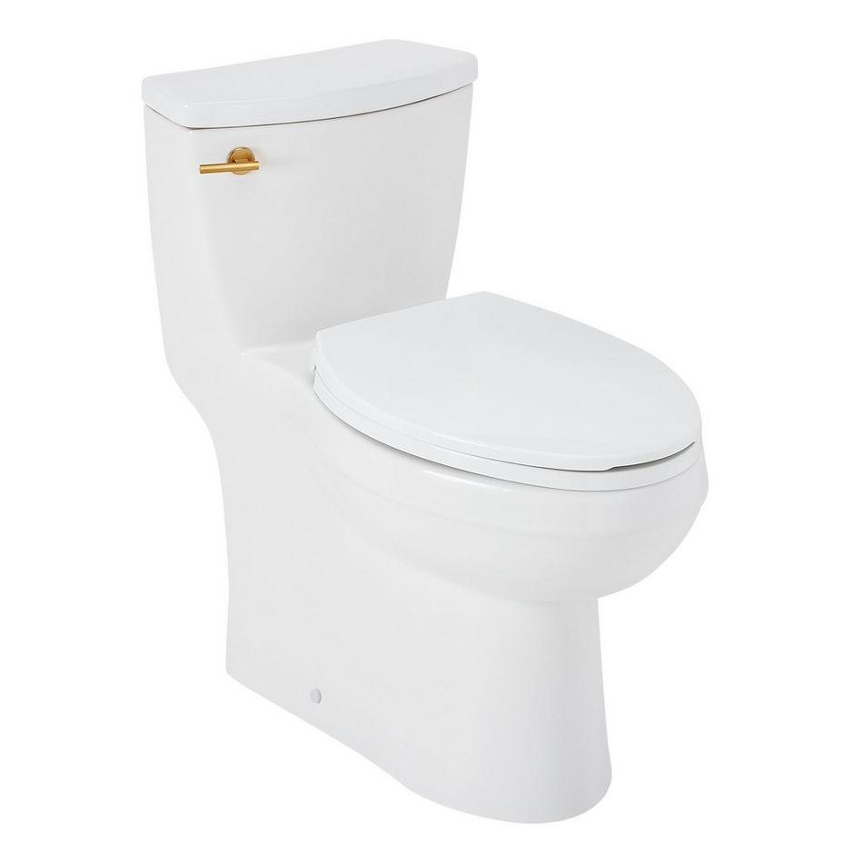 Brinstead One-Piece Elongated Skirted Toilet - Brushed Gold Handle, , large image number 1