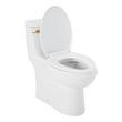 Brinstead One-Piece Elongated Skirted Toilet - Brushed Gold Handle, , large image number 2