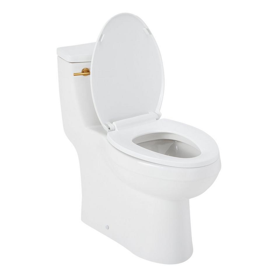 Brinstead One-Piece Elongated Skirted Toilet - Brushed Gold Handle, , large image number 2