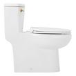 Brinstead One-Piece Elongated Skirted Toilet - Brushed Gold Handle, , large image number 3