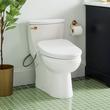 Brinstead One-Piece Elongated Skirted Toilet with Bidet - Brushed Gold Handle, , large image number 0