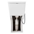 Brinstead One-Piece Elongated Skirted Toilet with Bidet - Brushed Gold Handle, , large image number 4