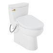 Brinstead One-Piece Elongated Skirted Toilet with Bidet - Brushed Gold Handle, , large image number 1