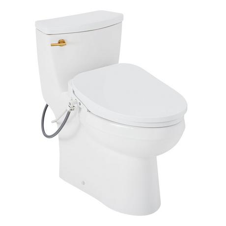 Brinstead One-Piece Elongated Skirted Toilet with Bidet - Brushed Gold Handle