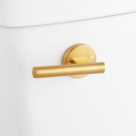 Brinstead One-Piece Elongated Skirted Toilet with Bidet - Brushed Gold Handle