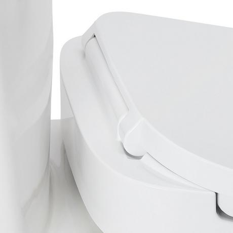 Brinstead One-Piece Elongated Skirted Toilet with Bidet - Brushed Gold Handle