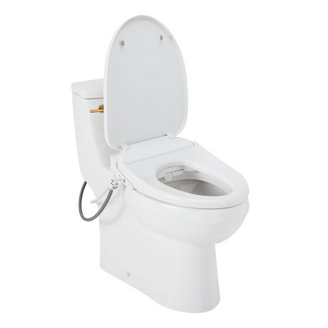 Brinstead One-Piece Elongated Skirted Toilet with Bidet - Brushed Gold Handle