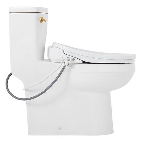 Brinstead One-Piece Elongated Skirted Toilet with Bidet - Brushed Gold Handle