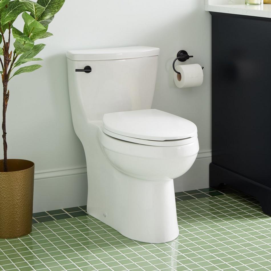 Brinstead One-Piece Elongated Skirted Toilet - Matte Black Handle, , large image number 0