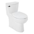 Brinstead One-Piece Elongated Skirted Toilet - Matte Black Handle, , large image number 1