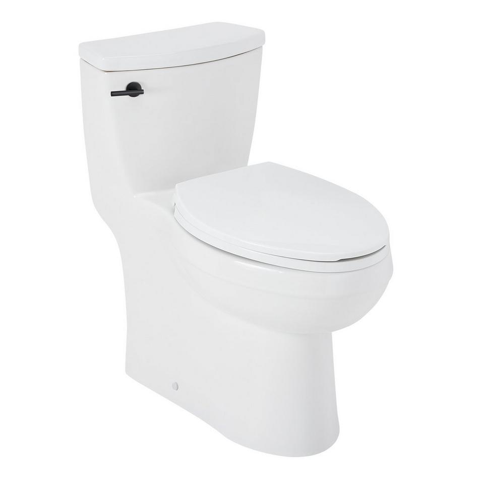 Brinstead One-Piece Elongated Skirted Toilet - Matte Black Handle, , large image number 1