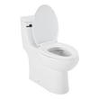 Brinstead One-Piece Elongated Skirted Toilet - Matte Black Handle, , large image number 2