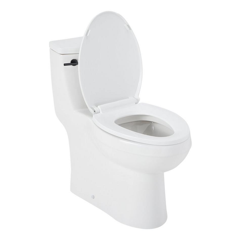 Brinstead One-Piece Elongated Skirted Toilet - Matte Black Handle, , large image number 2