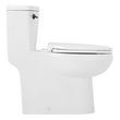 Brinstead One-Piece Elongated Skirted Toilet - Matte Black Handle, , large image number 3