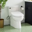 Brinstead One-Piece Elongated Skirted Toilet with Bidet - Matte Black Handle, , large image number 0