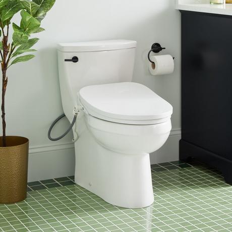 Brinstead One-Piece Elongated Skirted Toilet with Bidet - Matte Black Handle