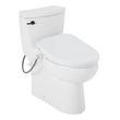 Brinstead One-Piece Elongated Skirted Toilet with Bidet - Matte Black Handle, , large image number 1