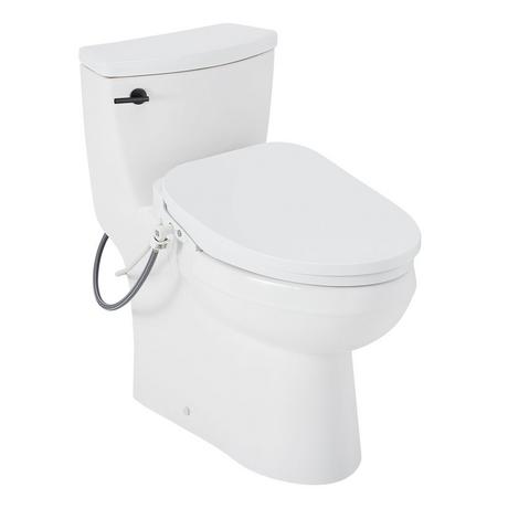 Brinstead One-Piece Elongated Skirted Toilet with Bidet - Matte Black Handle