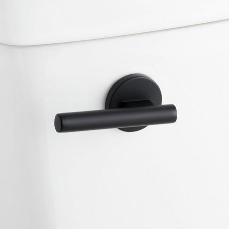 Brinstead One-Piece Elongated Skirted Toilet with Bidet - Matte Black Handle