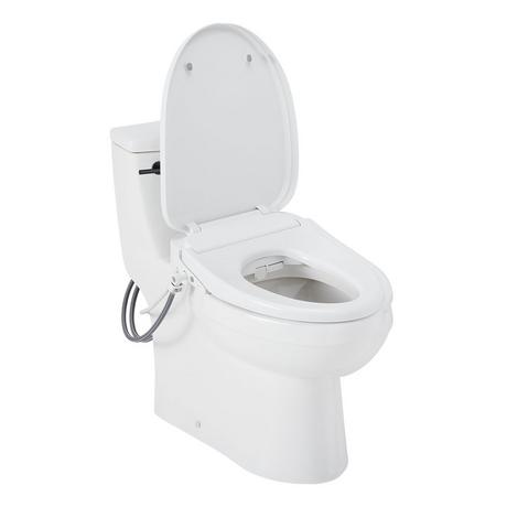 Brinstead One-Piece Elongated Skirted Toilet with Bidet - Matte Black Handle