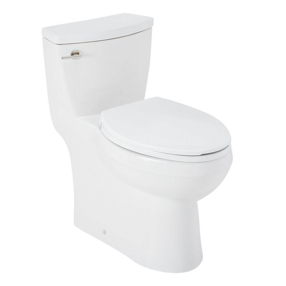 Brinstead One-Piece Elongated Skirted Toilet - Polished Nickel Handle, , large image number 1