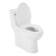 Brinstead One-Piece Elongated Skirted Toilet - Polished Nickel Handle, , large image number 2